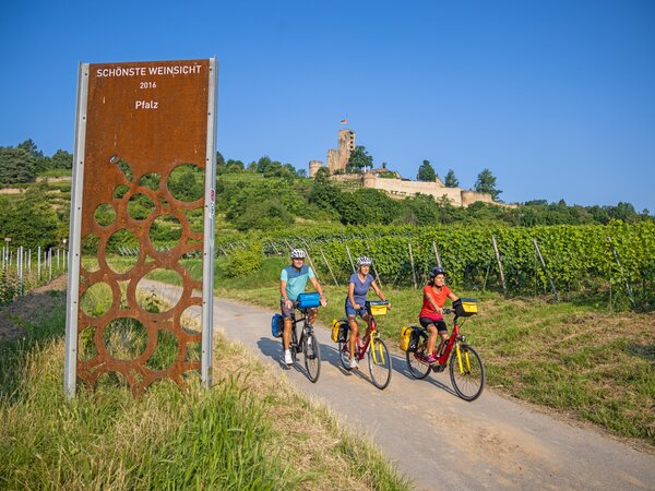 Radreise: Pfälzer Weinsternfahrt - 7 Tage