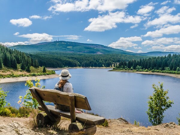 Harz - Eckertalsperre